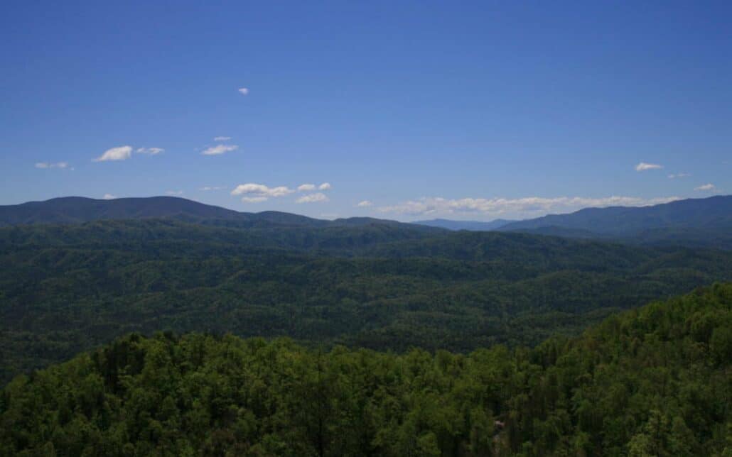 Tract 29R4 Chilhowee Mountain Tr Maryville, TN 37803 - Photo 15