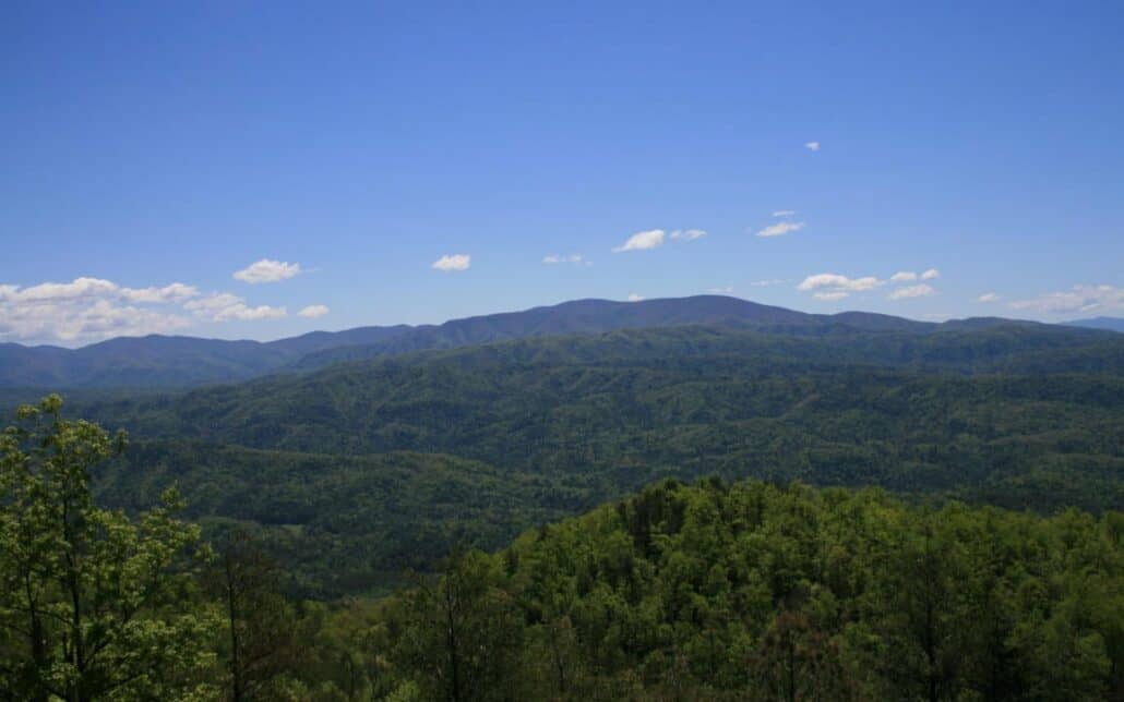 Tract 29R4 Chilhowee Mountain Tr Maryville, TN 37803 - Photo 19