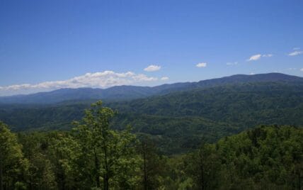 Tract 29R5 Chilhowee Mountain Tr Maryville, TN 37803 - Photo 20