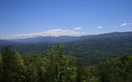 Tract 29R5 Chilhowee Mountain Tr Maryville, TN 37803 - Photo 21