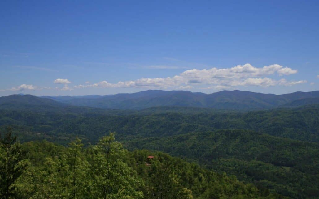 Tract 29R5 Chilhowee Mountain Tr Maryville, TN 37803 - Photo 22