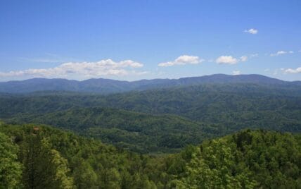 Tract 29R4 Chilhowee Mountain Tr Maryville, TN 37803 - Photo 20