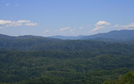 Tract 29R5 Chilhowee Mountain Tr Maryville, TN 37803 - Photo 24