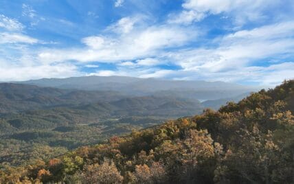 Tract 29R4 Chilhowee Mountain Tr Maryville, TN 37803 - Photo 24