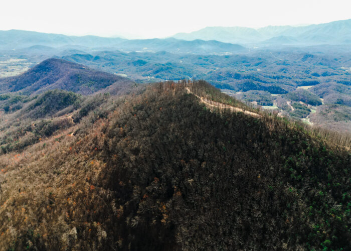 Alpine Drive, Sevierville, TN 37876
