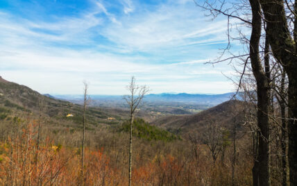Alpine Drive - Photo 12