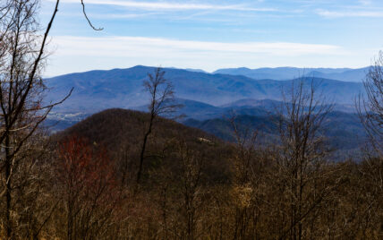 Alpine Drive - Photo 2