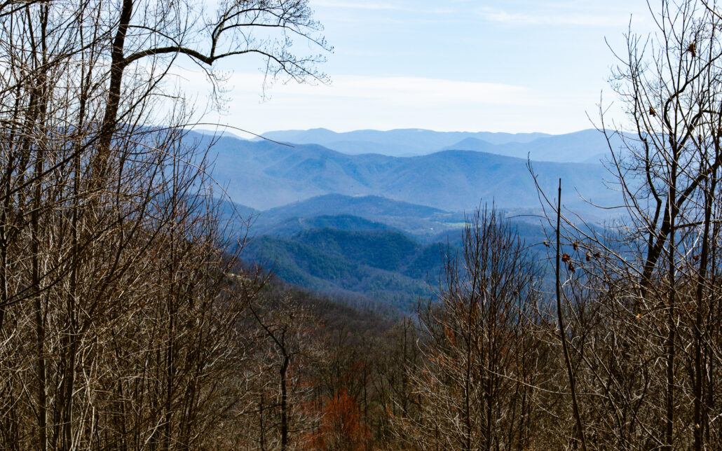 Alpine Drive, Sevierville, TN 37876 - Photo 3