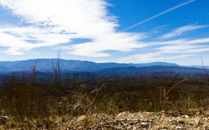 Alpine Drive - Photo 6