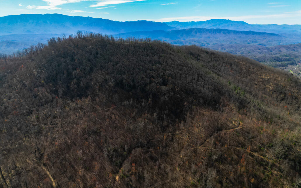 Alpine Drive, Sevierville, TN 37876 - Photo 15