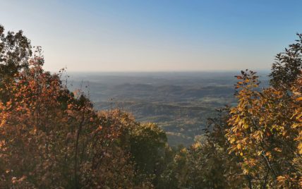Tract 2 Chilhowee Tr - Photo 1