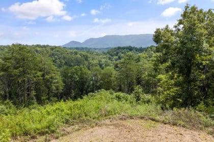 703 N Knob Creek Rd, Seymour, TN 37865