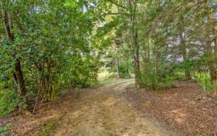 2992 Knoxville Hwy, Wartburg, TN 37887 - Photo 46