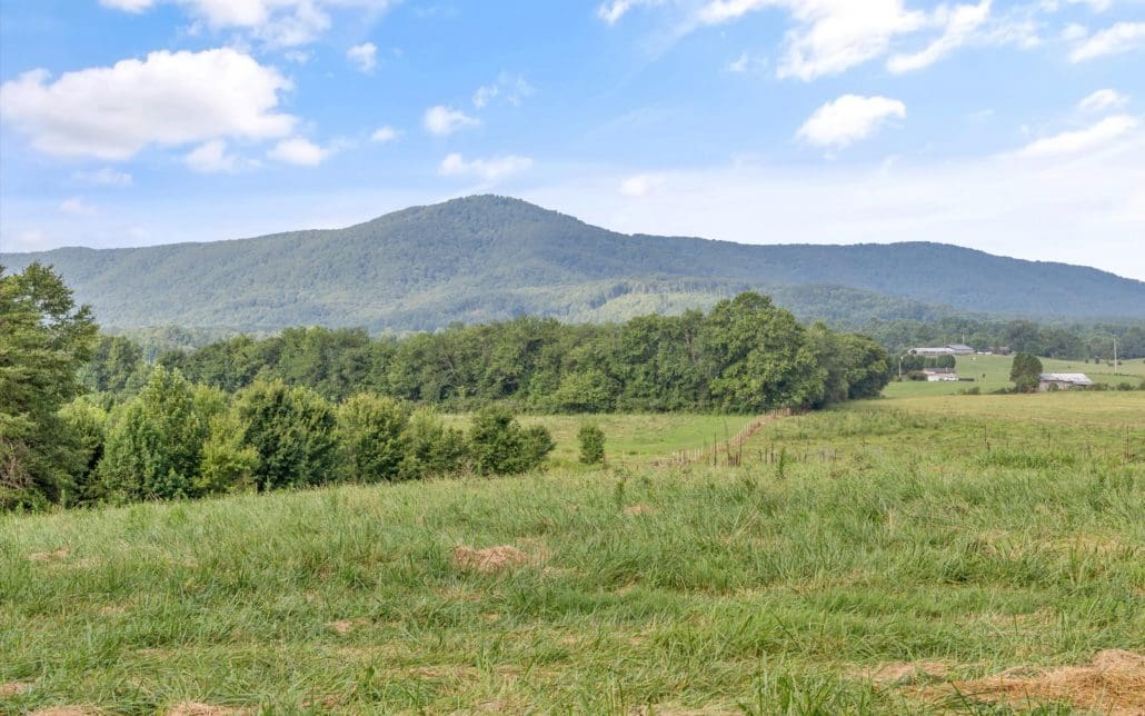 2992 Knoxville Hwy, Wartburg, TN 37887 - Photo 49