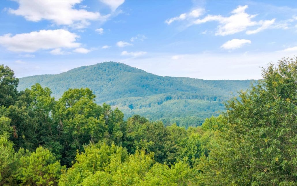 2992 Knoxville Hwy, Wartburg, TN 37887 - Photo 55