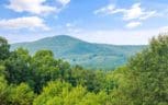 2992 Knoxville Hwy, Wartburg, TN 37887 - Photo 55