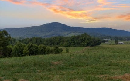 2992 Knoxville Hwy, Wartburg, TN 37887 - Photo 56