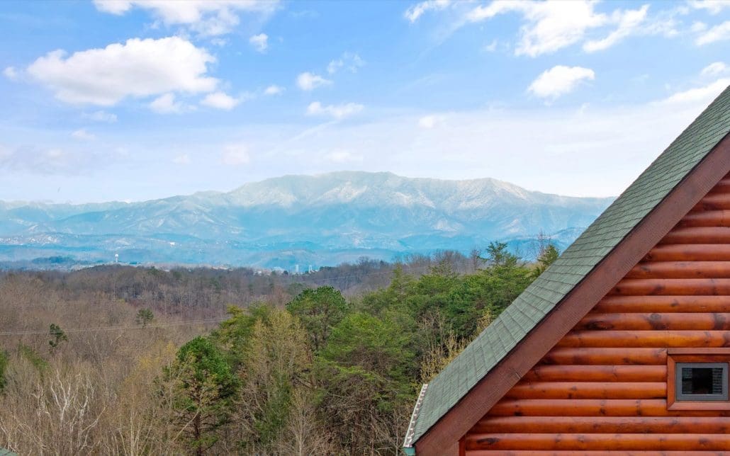 669 Stockton Drive, Sevierville, TN 37876 - Photo 10